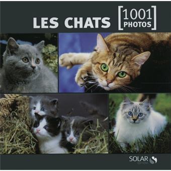 Chat en ligne gratuit ado