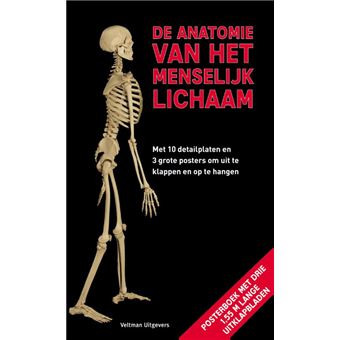 De Anatomie Van Het Menselijk Lichaam Met 10 Detailplaten En 3 Grote