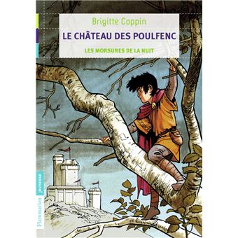 Le Ch Teau Des Poulfenc Les Morsures De La Nuit Tome Le Ch Teau