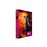 Love Streams (Torrents d'amour) + Un enfant attend - Combo Blu-ray + DVD