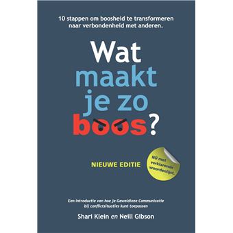 Wat Maakt Je Zo Boos 10 Stappen Om Boosheid Te Transformeren Naar Een