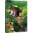 Le Livre de la jungle 1 &amp; 2