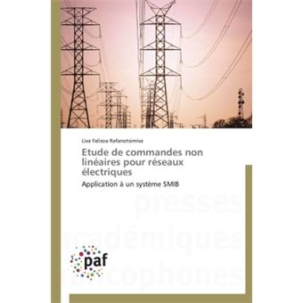 Etude de commandes non linéaires pour réseaux électriques Application à