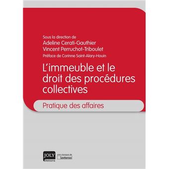 L Immeuble Et Le Droit Des Procedures Collectives Broch Adeline