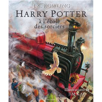 Harry Potter - Harry Potter, Version illustrée