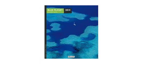 Calendrier 2014 Aquarupella Plante bleue 30 x 30 cm pour 6