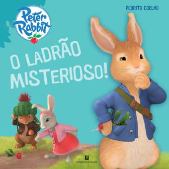 o ladrão misterioso