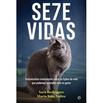 Resultado de imagem para GATOS TEM SETE VIDAS