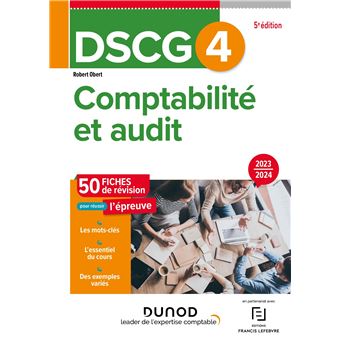 Dscg Comptabilit Et Audit Fiches Broch Robert