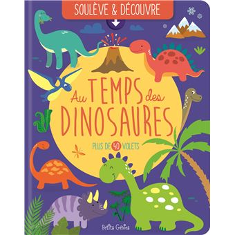 Au temps des dinosaures cartonné Claire Chabot Emi Ordas Achat