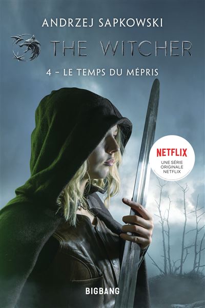 The Witcher Sorceleur Tome The Witcher Sorceleur T Le