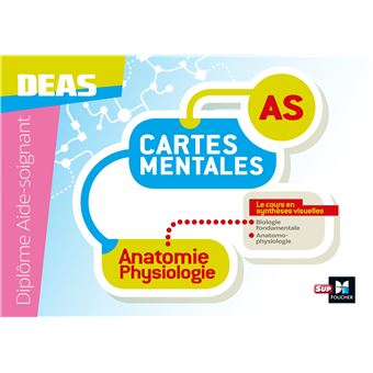 Anatomie Physiologie Cartes Mentales Dipl Me Aide Soignant Deas