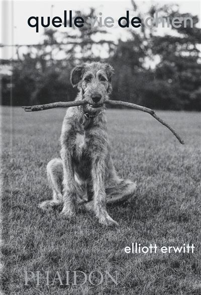 Quelle Vie De Chien Dernier Livre De Elliott Erwitt Pr Commande