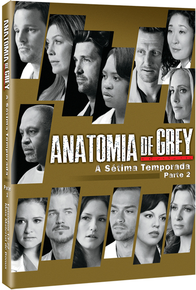 Anatomia De Grey Temporada 2 Castellano