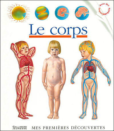 les cheveux, le visage, le nez, une dent, le dos, une épaule, le genou, le sang 