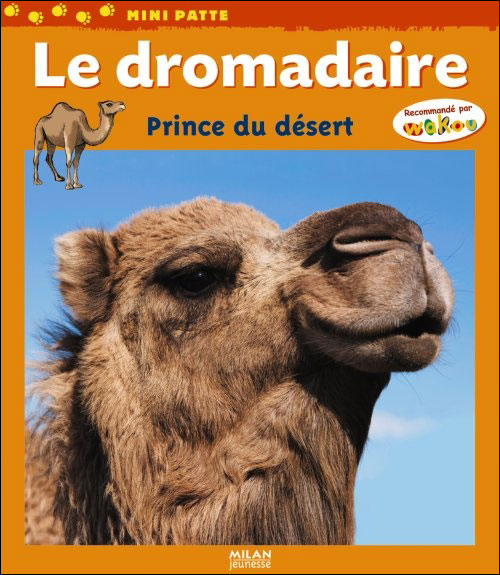 Couverture de Le dromadaire : prince du désert