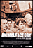 Animal Factory