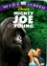 Mon ami Joe - DVD Zone 1