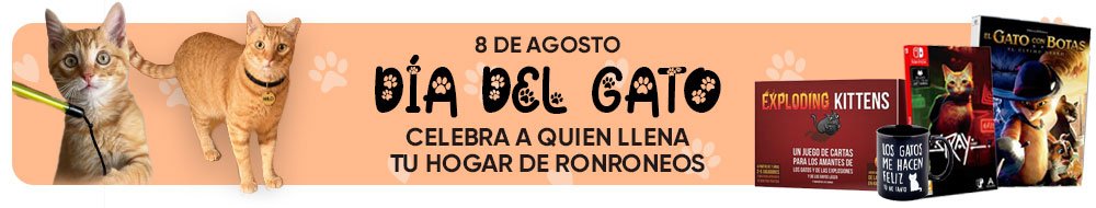 dia del gato