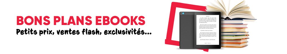 Petit prix et promotions ebooks - Achat eBook | fnac