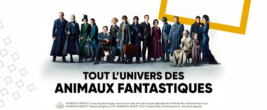 Harry Potter Idées Jeux Jouets Soldes Fnac