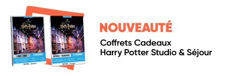Coffret Cadeau Harry Potter Studio Sejour