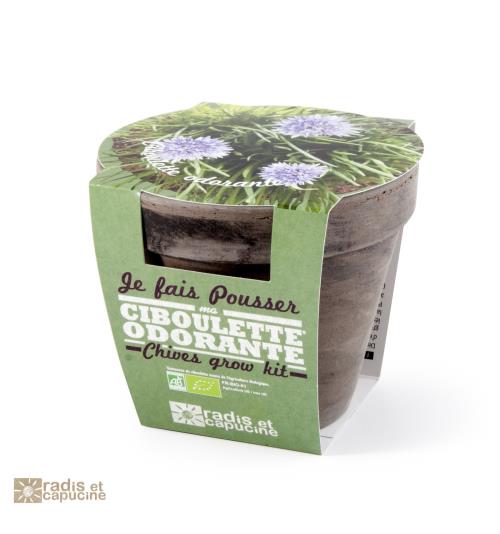 Pot Terre cuite Basalte 13cm Ciboulette bio