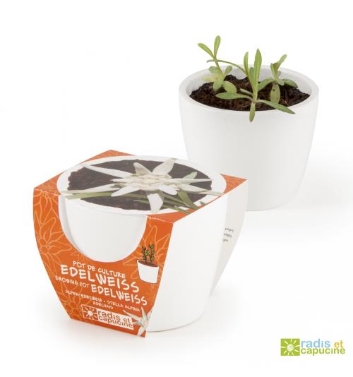 Pot céramique blanc 8 cm Edelweiss