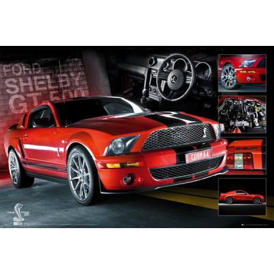 Affiche Ford Shelby GT 500