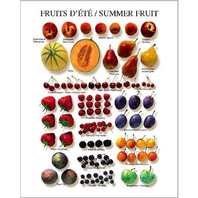 Affiche 24x30 cm Fruits d'été / Summer Fruit / Sommerfrüchte