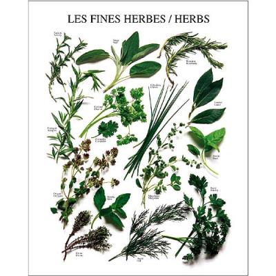 Affiche 24x30 cm Les fines herbes / Herbs / Kräuter