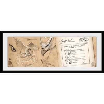 Affiche Fantastic Beasts Thunderbird 30x75 cm