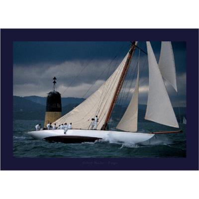 Affiche 50x70 cm Tuiga