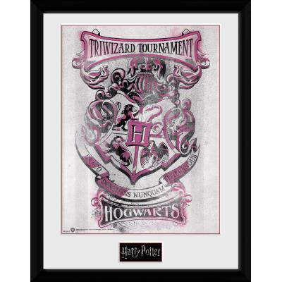 Photographie encadrée Harry Potter Triwizard Hogwarts 30x40 cm