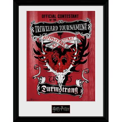 Photographie encadrée Harry Potter Triwizard Durmstrang 30x40 cm