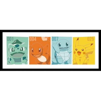Photographie encadree Pokemon Kanto Partners 30 x 75 cm