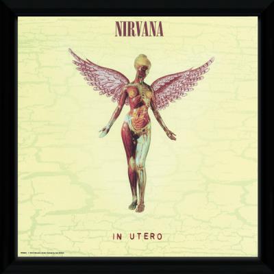 Photographie encadrée Nirvana In Utero 30 x 30 cm