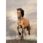 LE CHEVAL . STICKERS AUTOCOLLANT POSTER A4 ANIMAUX SAUVAGE