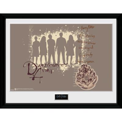 Photographie encadreé Harry Potter Dumbledore's Army 40 x 30 cm