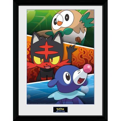 Photographie Encadrée Pokemon Alola Partners