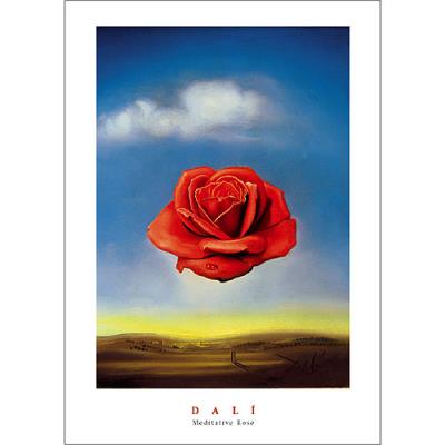 Affiche 50x70 cm La Rose Méditative / Meditative Rose