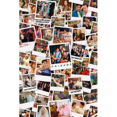 Maxi Poster Friends Polaroids