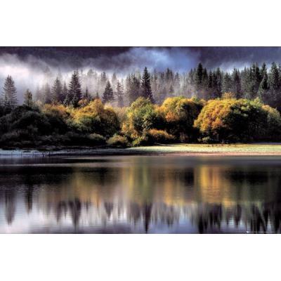 Maxi Poster Forest Autumn Lights