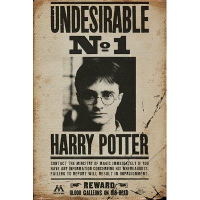 Maxi Poster Harry Potter Undesirable No 1
