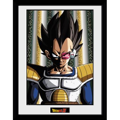 Photographie encadree Dragon Ball Z Vegeta
