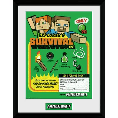 Photographie encadree Minecraft Survival Kit