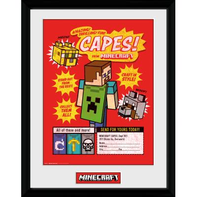 Photographie encadree Minecraft Collect Them All