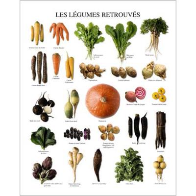 Affiche 24x30 cm Les légumes retrouvés / Vegetables of Yesteryears / Wiedergefundene Gemüse