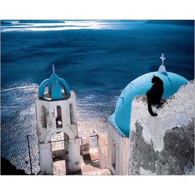 Affiche 24x30 cm Chat en Grèce / Cat in Greece / Katze in Griechenland