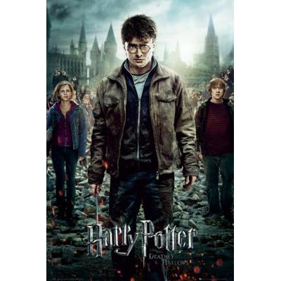 Harry Potter et les reliques de la mort Affiche 61x91 cm